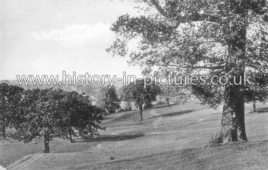Golf Links, Enfield, Middlesex. c.1907